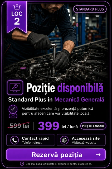 Loc 2 Standard Plus Mecanică Generală Târgoviște - Poziție disponibilă, 399 lei pe lună
